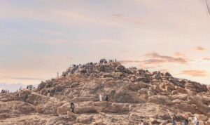 28d97683-4ab8-4c60-9eb8-381ce71320e7